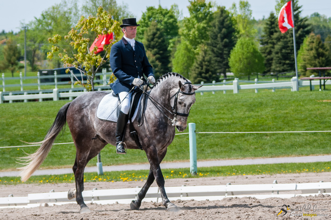 Competitor, Spring Classic Dressage, Ottawa, 2008