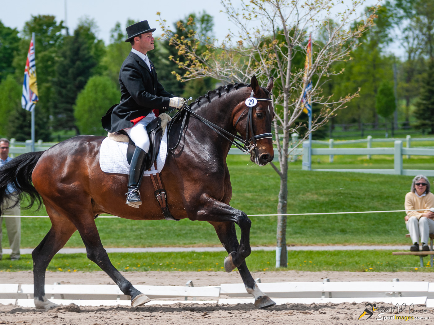 Competitor, Spring Classic Dressage, Ottawa, 2008