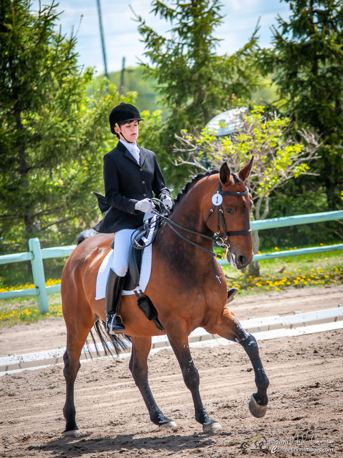 Competitor, Spring Classic Dressage, Ottawa, 2008