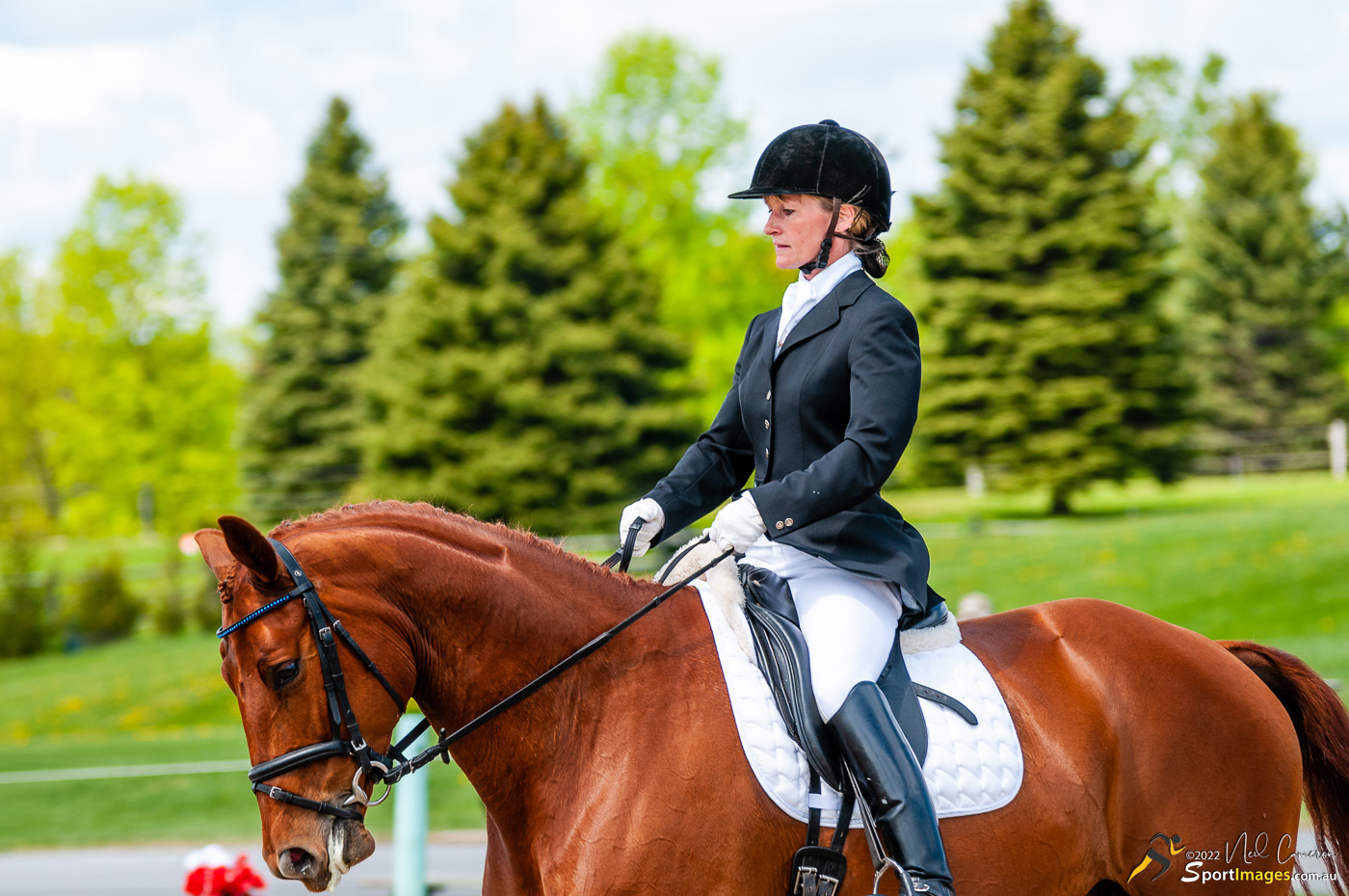 Competitor, Spring Classic Dressage, Ottawa, 2008