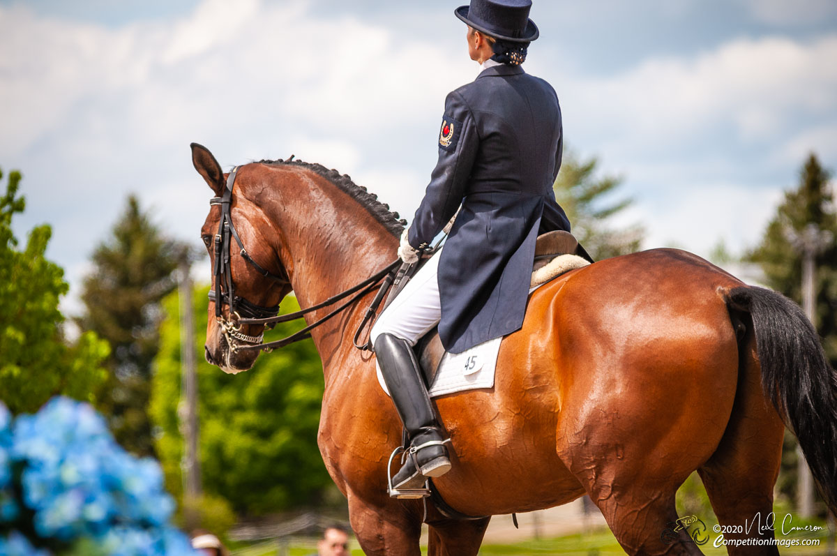 Competitor, Spring Classic Dressage, Ottawa, 2008