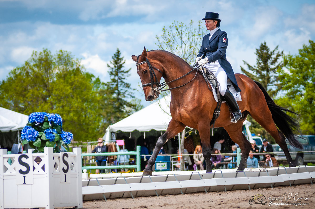 Competitor, Spring Classic Dressage, Ottawa, 2008