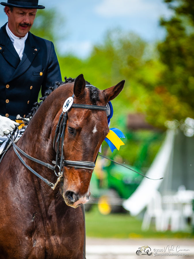 Competitor, Spring Classic Dressage, Ottawa, 2008