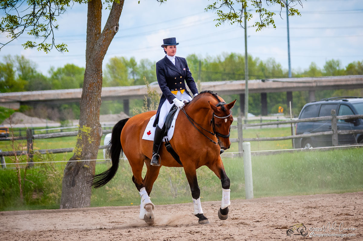 Competitor, Spring Classic Dressage, Ottawa, 2008