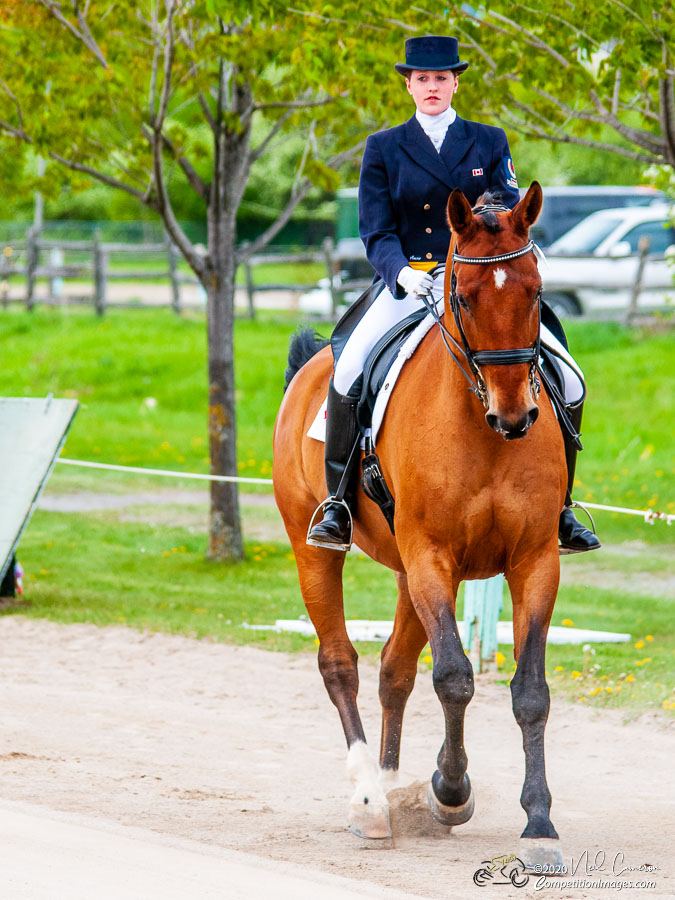 Competitor, Spring Classic Dressage, Ottawa, 2008