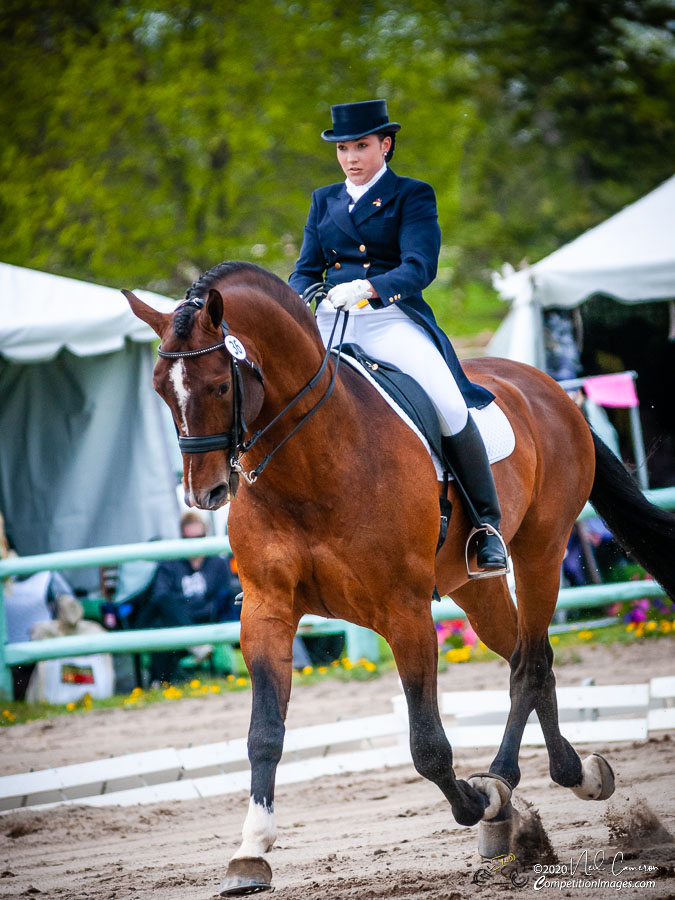 Competitor, Spring Classic Dressage, Ottawa, 2008