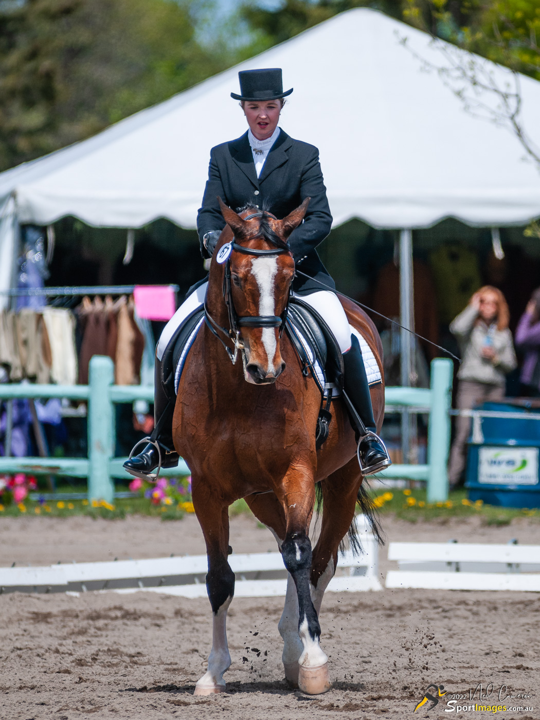 Competitor, Spring Classic Dressage, Ottawa, 2008